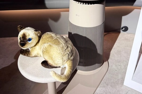 Three bizarre home devices and a couple good things at CES 2025