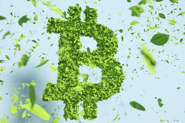 Cryptocurrency Scams: Billions Lost in a Volatile Market