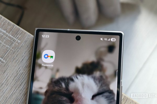 Googles new Passwords app just made it easier for me to ditch Chrome