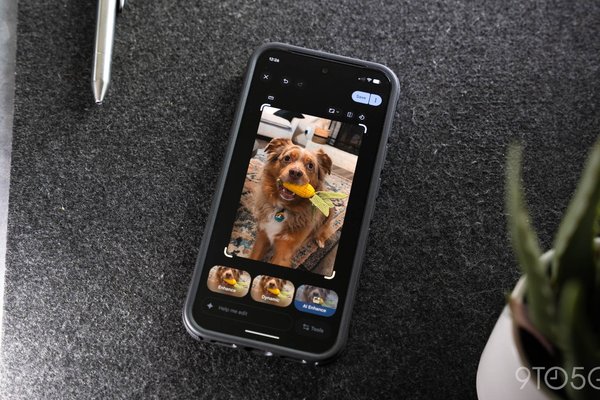 Google Photos perspective correction tool returns after disappearing months ago