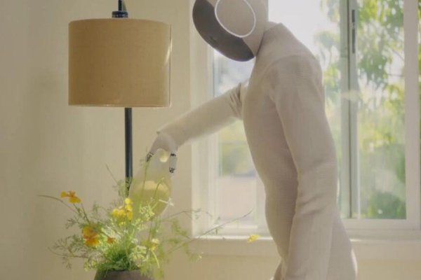 That $20,000 viral humanoid home robot? Its not what it seems