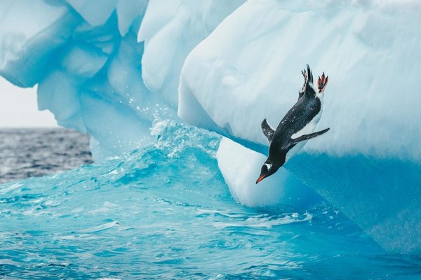 Slow internet speed on Linux? This 30-second fix makes all the difference