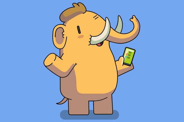Mastodon says it doesnt have the means to comply with age verification laws