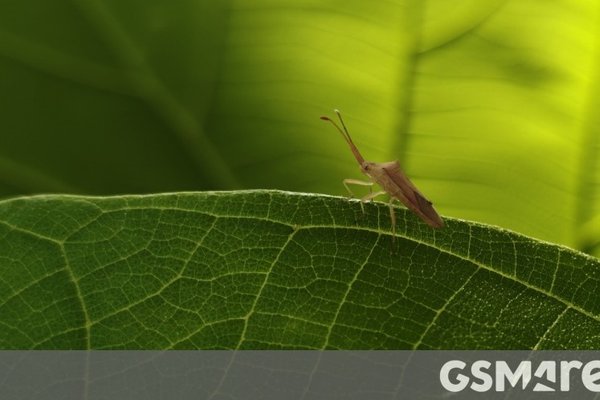 First Look at OnePlus 13 Camera Samples: Early Impressions of the Flagships Photography Capabilities