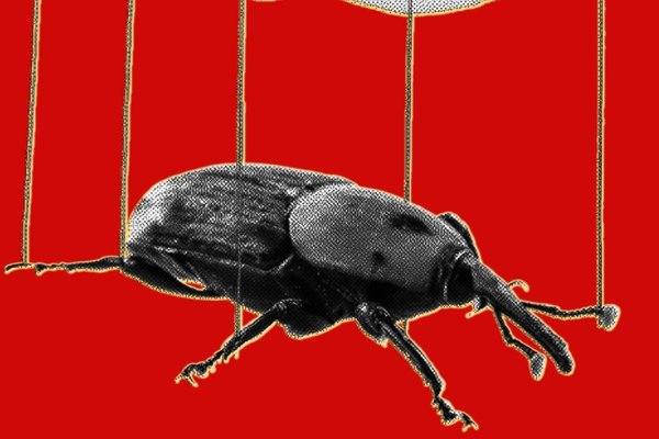 The PHP Meltdown Shows How AI Makes Bugs More Exploitable