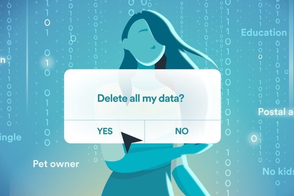 Safeguarding Privacy: How and Why to Remove Personal Data from the Internet