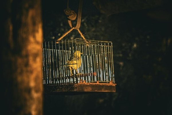 Bitcoin devs bet a quantum attacker will play nice with a wait and react plan
