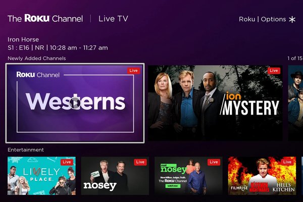  Roku users should get ready for a lot more AI-generated ads, according to its COO  and I mean a lot 