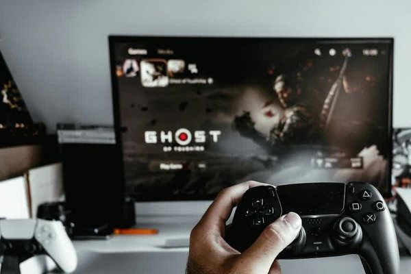 Sony says gamers dont own their digital purchases, but 44 examples of its own wording suggest otherwise