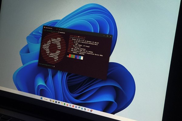 Ubuntu is growing faster on Windows 11 than on native Linux PCs, says Canonical