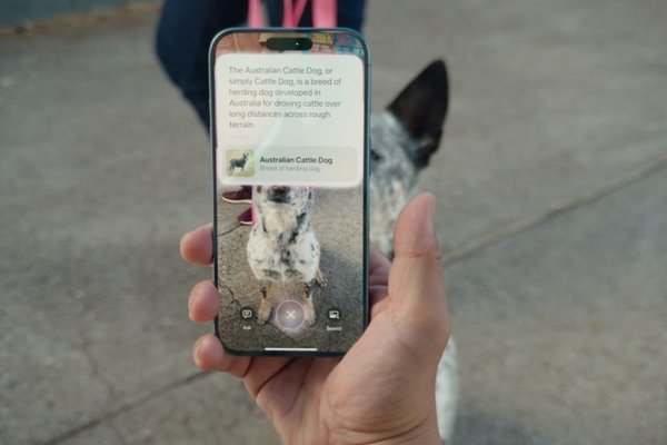Visual Intelligence Set to Enhance iPhone 15 Pro Experience