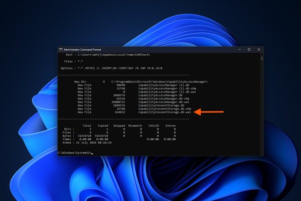 Microsoft just fixed a bug using massive Windows 11 storage, verify if its applied to your PC