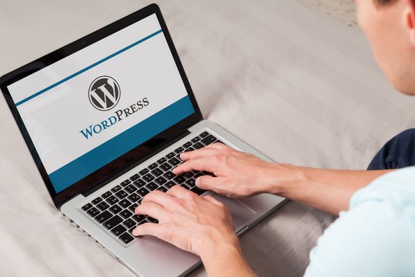  Experts warn millions of WordPress websites could be at risk following reveal of worrying bugs 