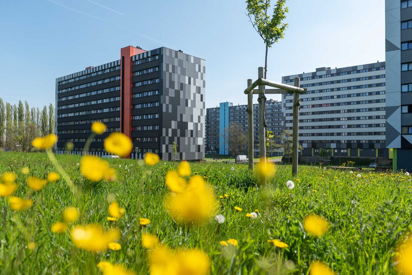 Cité Parc à Marcinelle