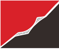 DONG GUAN DE WEI WIRECO.,LTD logo