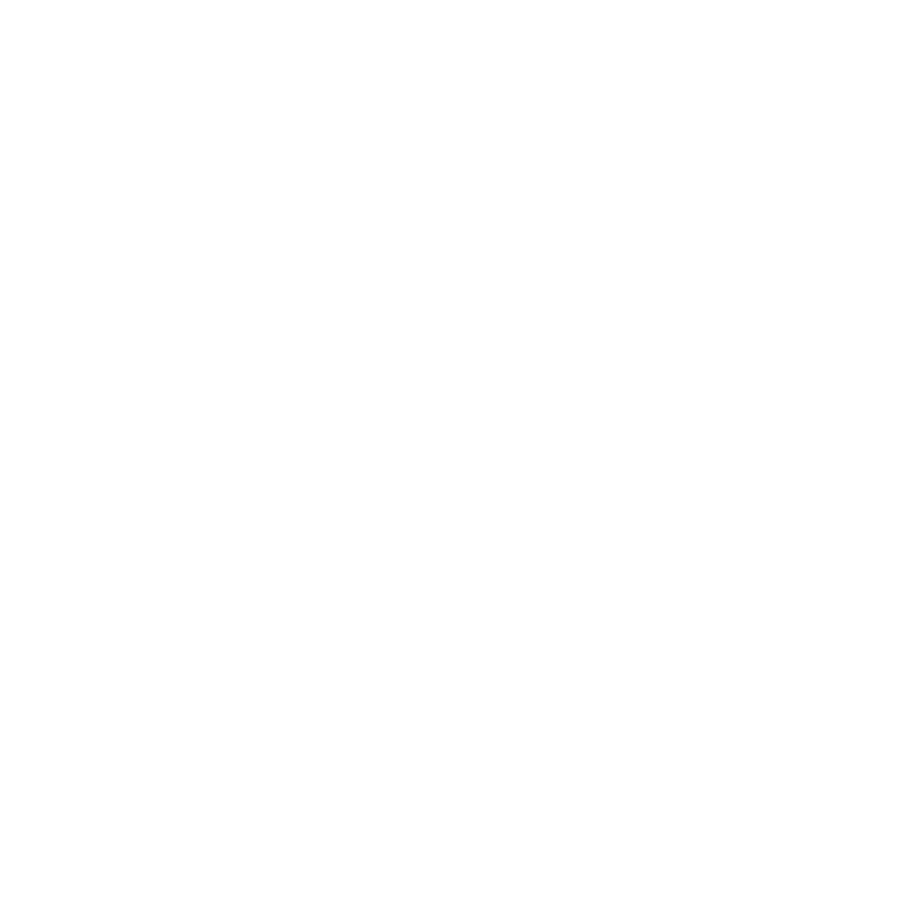 EcoFlow logo