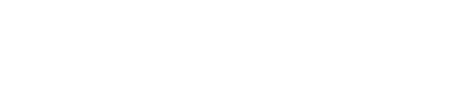 Envision Energy logo