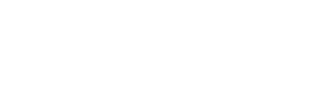 Fujian Nebula Electronics Co., Ltd. logo