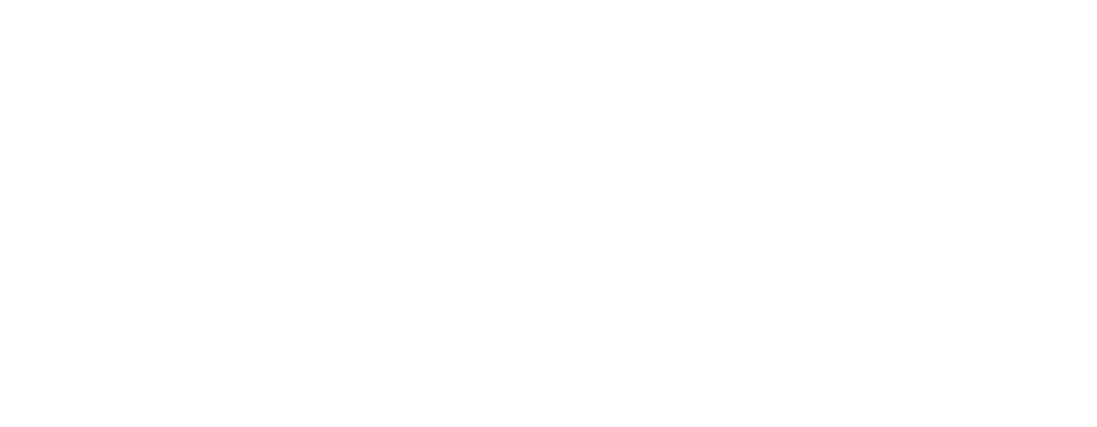 Nemoto&Co.,LTD. logo