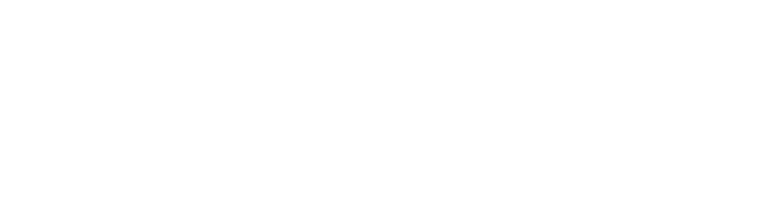 SANTAK Electronic (Shenzhen) Co., Ltd logo