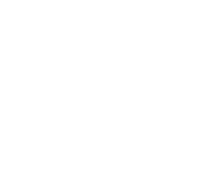 shell ( china) limited logo