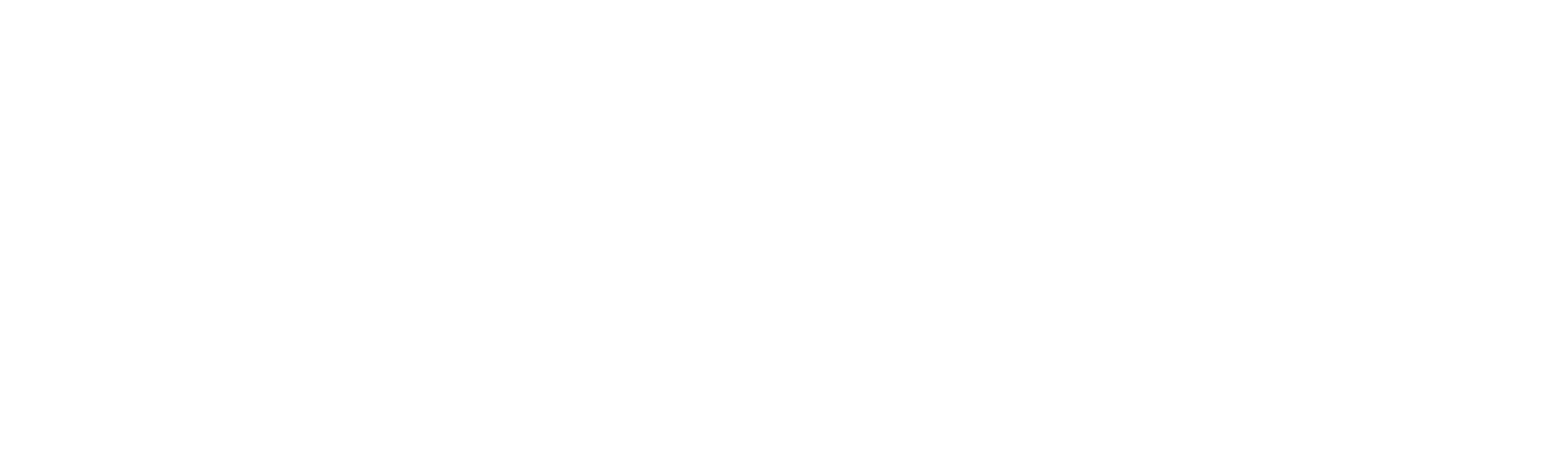 Shenzhen Shanhai Semiconductor Technology Co., Ltd. logo