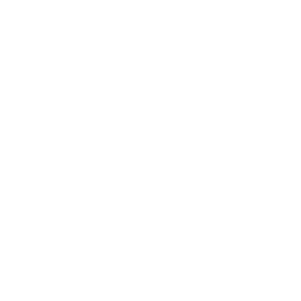 SRF testing and certification (Changzhou) Co., LTD. logo