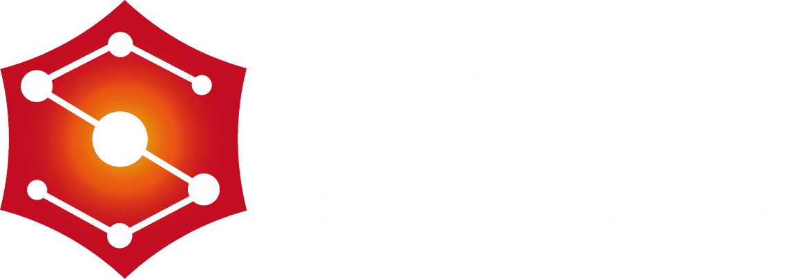 State Power Rixin Technology Co., Ltd. logo