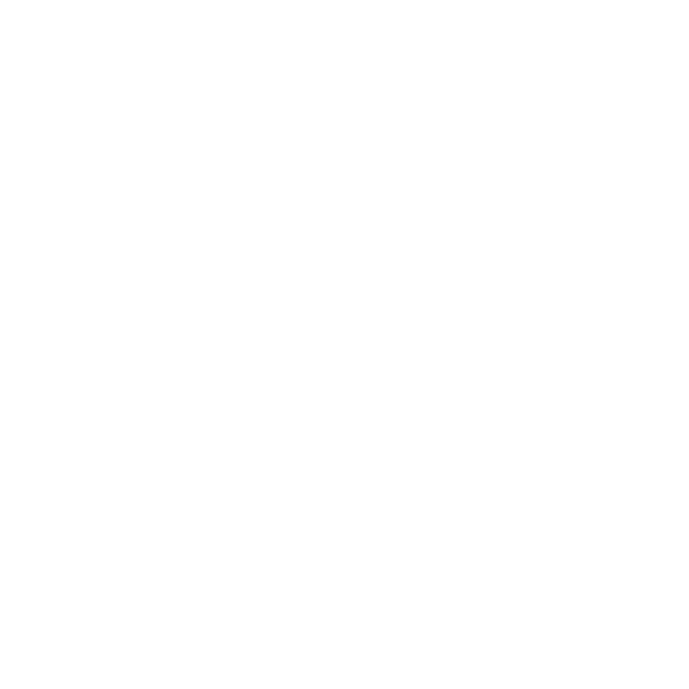Sunwoda Electronic Co., Ltd. logo
