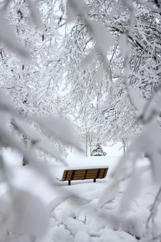 有关雪的诗句——美的忘我！