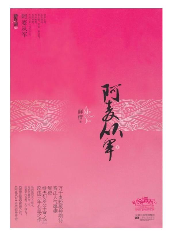 阿麦从军(上下) (新穿越小说)-鲜橙.epub