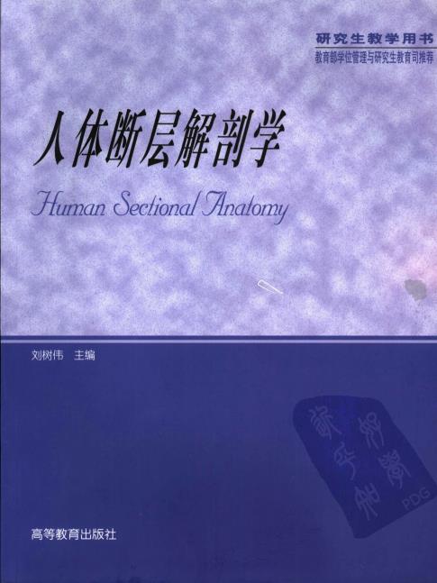 人体断层解剖学_038.pdf