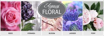 Eleganza-Floral