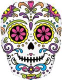 27inch Mighty Sugar Skull Packaged - Seasonal