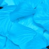 Eleganza Rose Petals - Turquoise 164pcs - Accessories