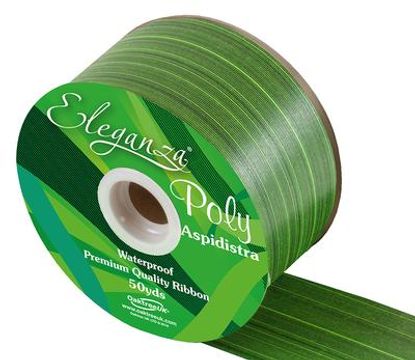 Eleganza Poly Ribbon Aspidistra 50mm x 50yds Mint - Ribbons