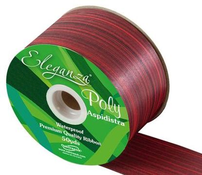 Eleganza Poly Ribbon Aspidistra 50mm x 50yds Red - Ribbons