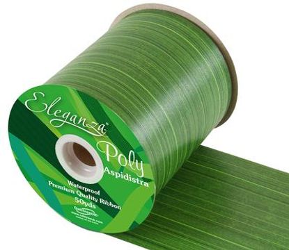 Eleganza Poly Ribbon Aspidistra 100mm x 50yds Mint - Ribbons