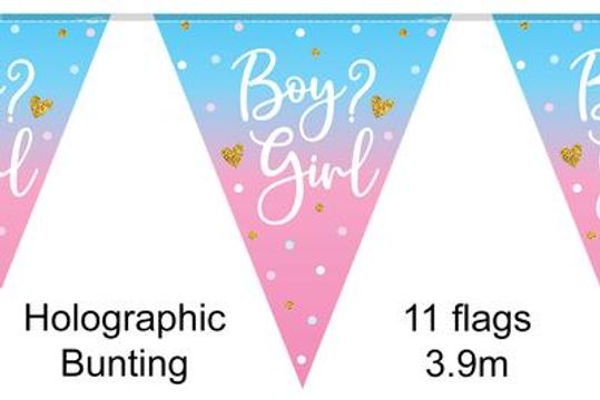 Party Bunting Boy or Girl Gender Reveal 11 flags 3.9m - Banners & Bunting