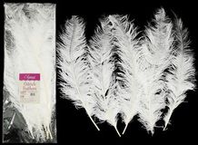 Feathers - Accessories - other/other/accessories