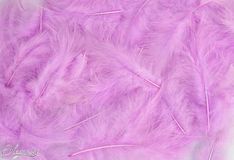 Eleganza Craft Marabout Feathers Mixed sizes 3-8inch 8g bag Pastel Lavender No.45 - Accessories