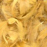 Eleganza Feathers Mixed sizes 3-5inch 50g bag Gold No.35 - Accessories