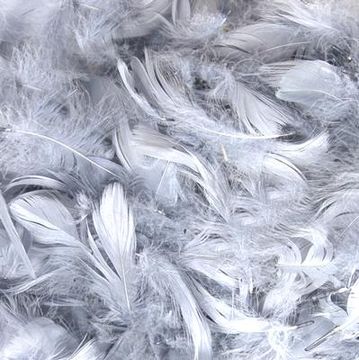 Eleganza Feathers Mixed sizes 3-5inch 50g bag Silver No.24 - Accessories