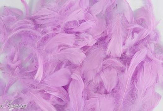 Eleganza Feathers Mixed sizes 3-5inch 50g bag Pastel Lavender No.45 - Accessories