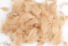 Eleganza Feathers Mixed sizes 3-5inch 50g bag Blush No.80 - Accessories