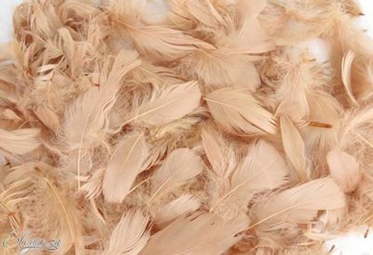 Eleganza Feathers Mixed sizes 3-5inch 50g bag Natural No.02 - Accessories