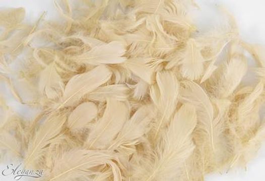 Eleganza Feathers Mixed sizes 3-5inch 50g bag Pampas No.115 - Accessories