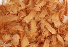 Eleganza Feathers Mixed sizes 3-5inch 50g bag Copper No.23 - Accessories