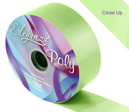 Eleganza Poly Ribbon 50mm x 91m (100yds) No.13 Mint - Ribbons