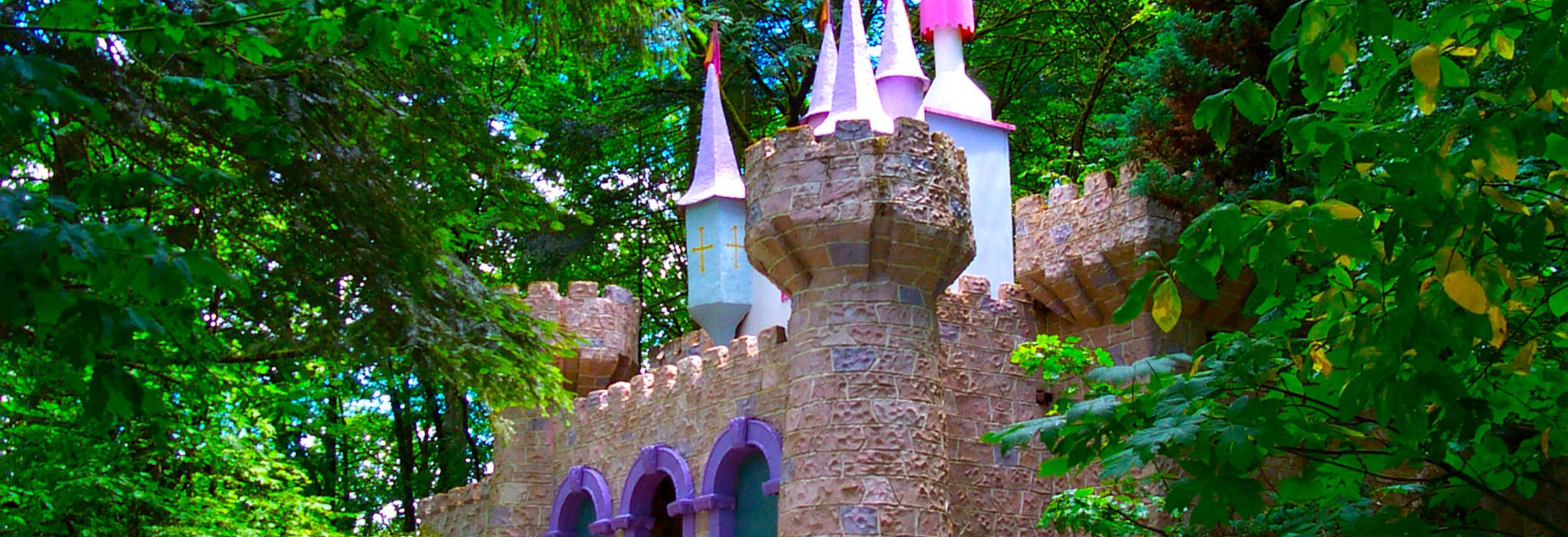 Enchanted Forest